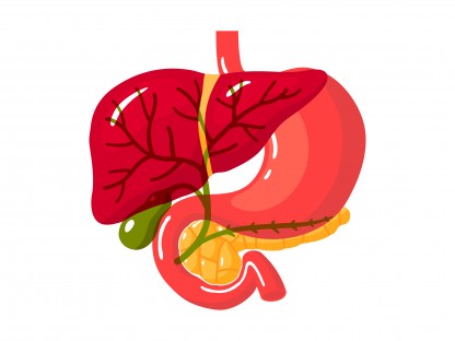 Primär biliäre & sklerosierende Cholangitis