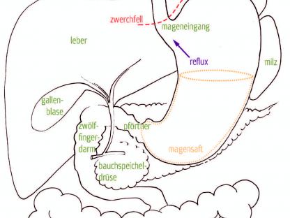 Ablauf der Untersuchung